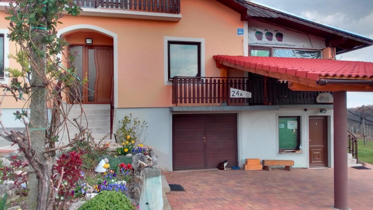 Studio Apartman Safaric Sveti Martin Na Muri Exterior foto