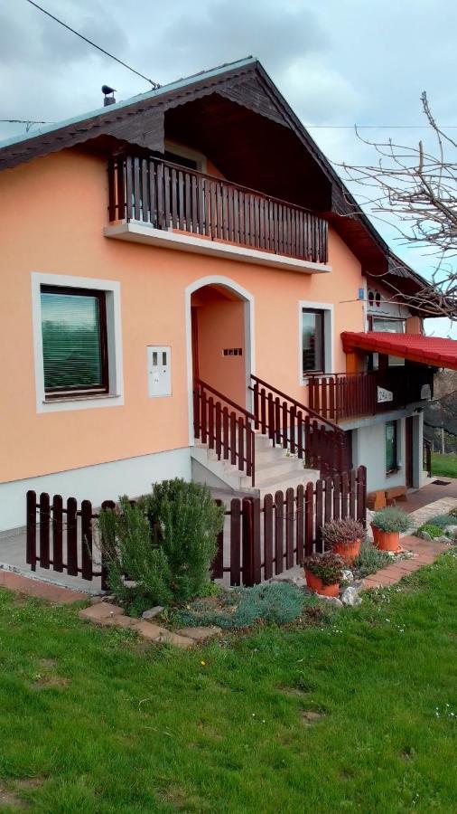 Studio Apartman Safaric Sveti Martin Na Muri Exterior foto